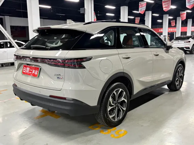 Haval Xiaolong MAX — Фото автомобиля 16