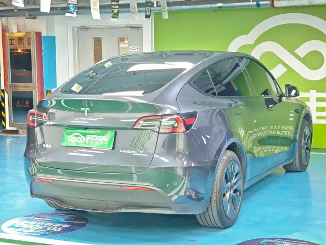 Tesla Model Y — Фото автомобиля 19