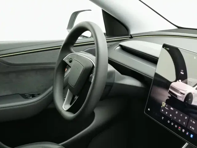 Tesla Model Y — Фото автомобиля 22
