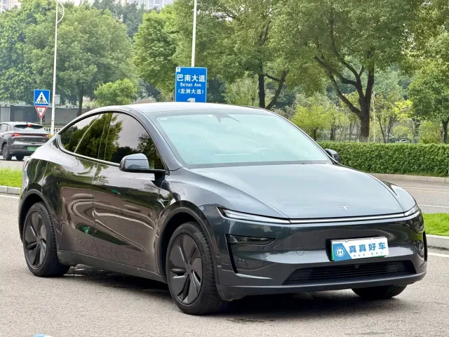 Tesla Model Y — Фото автомобиля 3