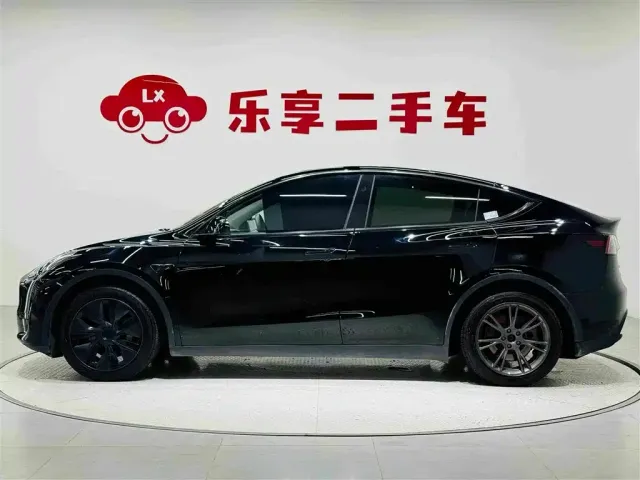 Tesla Model Y — Фото автомобиля 2