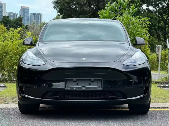 Tesla Model Y — Фото автомобиля 2