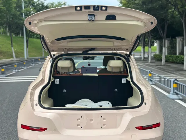 Ora Good Cat — Фото автомобиля 8
