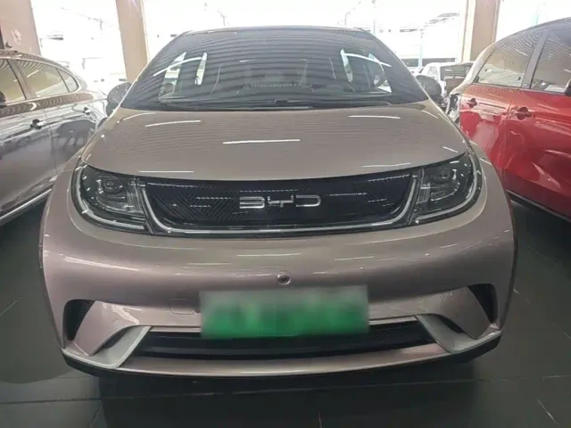 BYD Dolphin — Фото автомобиля 2