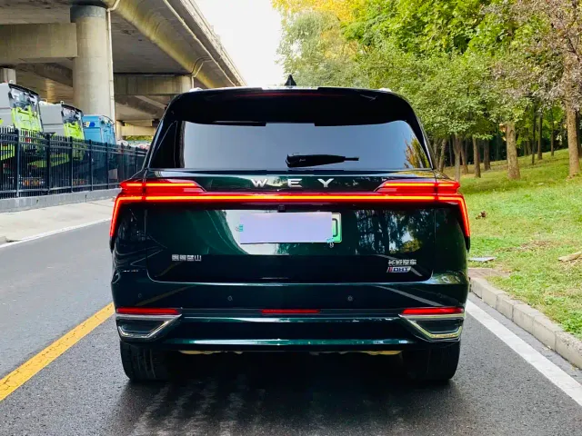 Wey Lanshan — Фото автомобиля 14