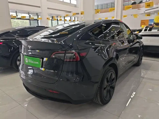 Tesla Model Y — Фото автомобиля 6