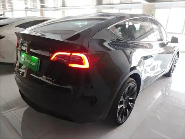 Tesla Model Y — Фото автомобиля 6
