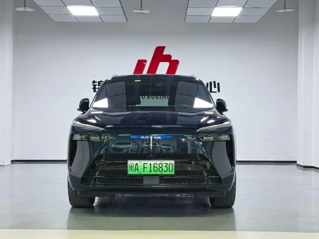 Wey Lanshan — Фото автомобиля 2