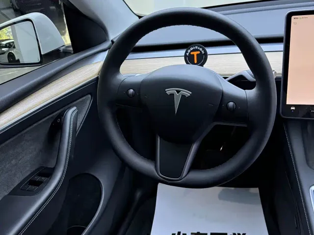 Tesla Model Y — Фото автомобиля 9