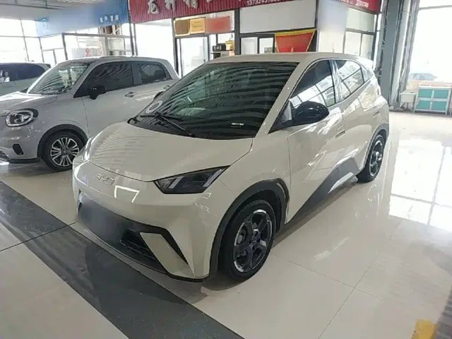 Фотография автомобиля — BYD Seagull