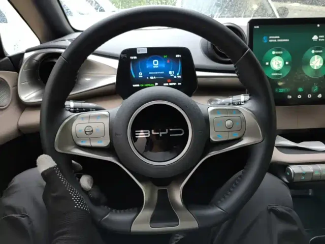 BYD Dolphin — Фото автомобиля 10