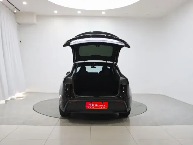 Tesla Model Y — Фото автомобиля 7