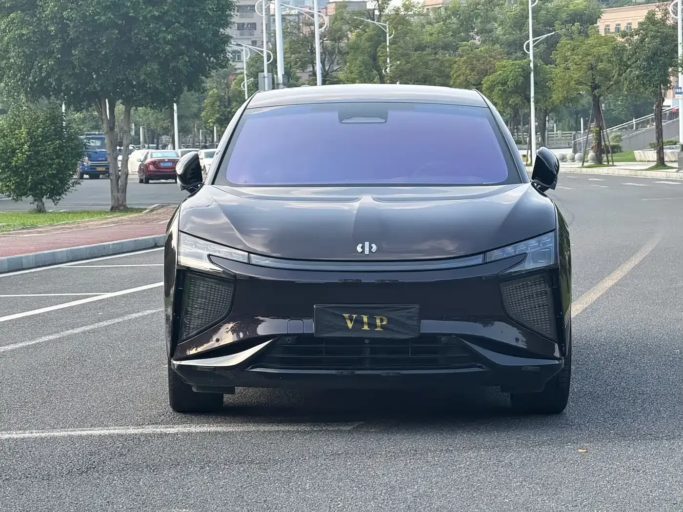 HiPhi HiPhi X 2021 Flagship Edition 6-Seater — Фото автомобиля 2