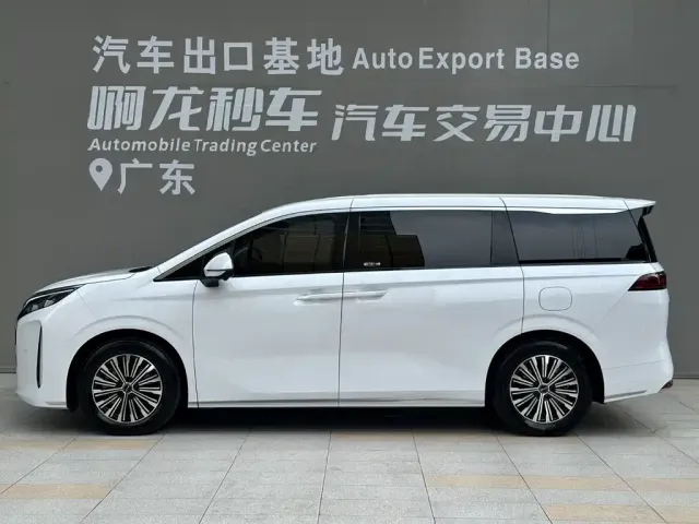 BYD M9 — Фото автомобиля 3