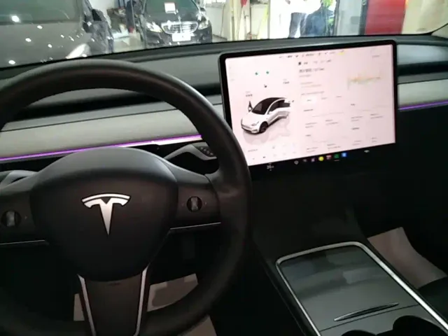 Tesla Model Y — Фото автомобиля 13