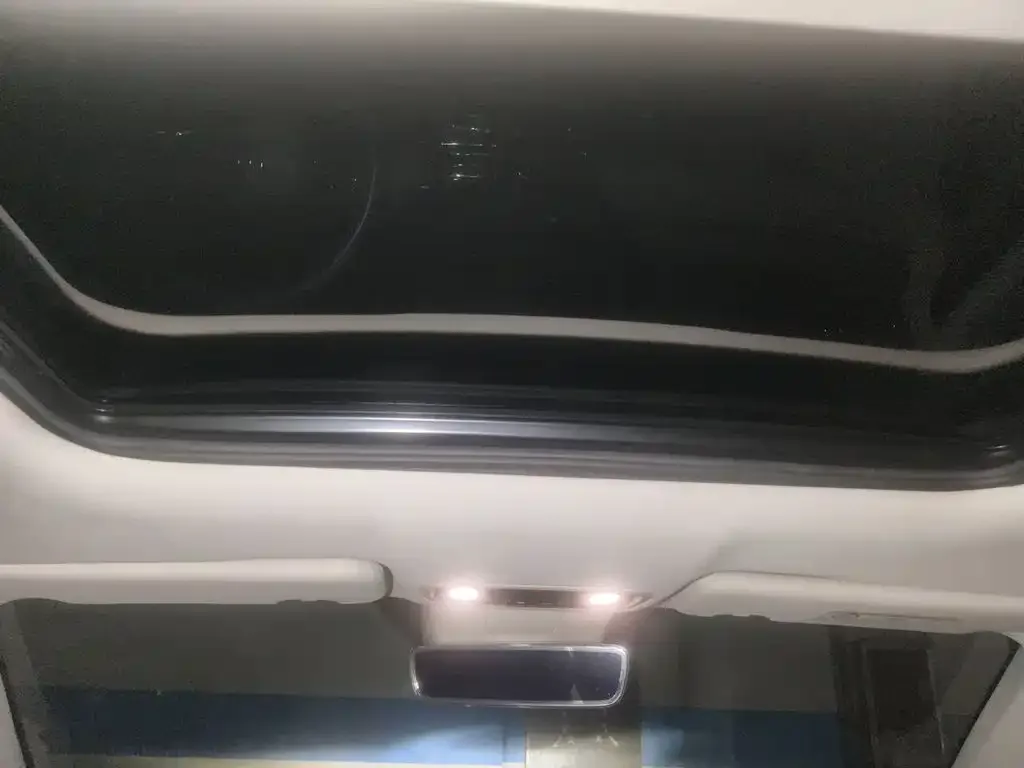 Leapmotor Leapmotor C11 2021 Facelift Luxury Edition — Фото автомобиля 14