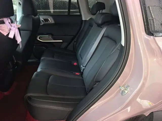 BYD FangChengBao Titanium 3 — Фото автомобиля 16