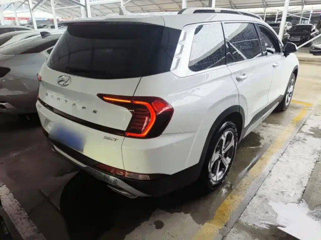 Hyundai Santa Fe — Фото автомобиля 6