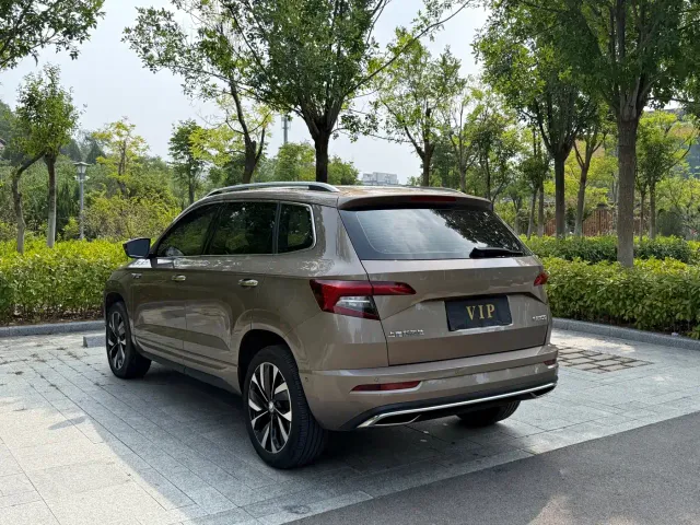 Skoda Karoq — Фото автомобиля 15