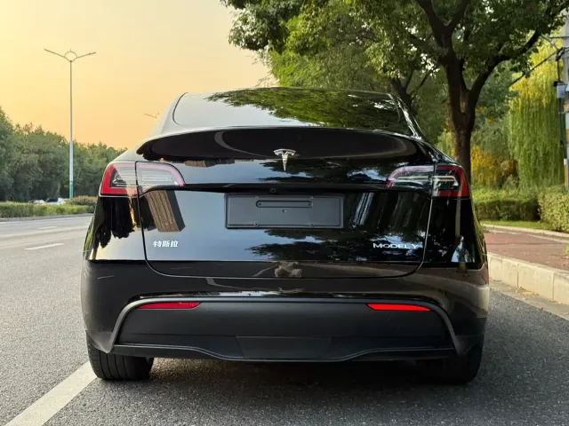 Tesla Model Y — Фото автомобиля 4