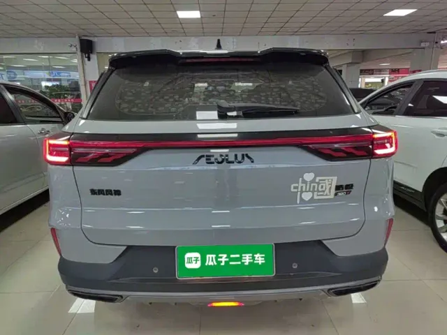 Dongfeng Haoji — Фото автомобиля 5