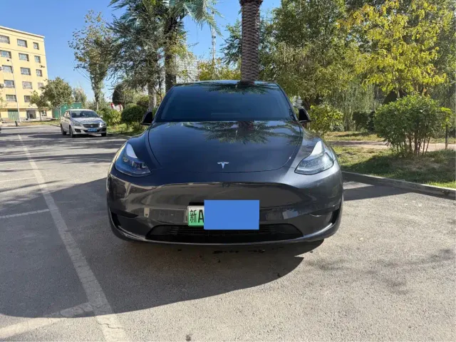 Tesla Model Y — Фото автомобиля 2