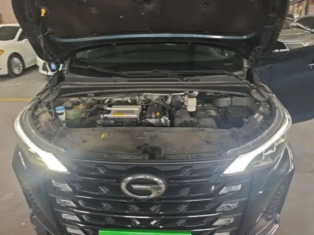 GAC Trumpchi M6 — Фото автомобиля 19