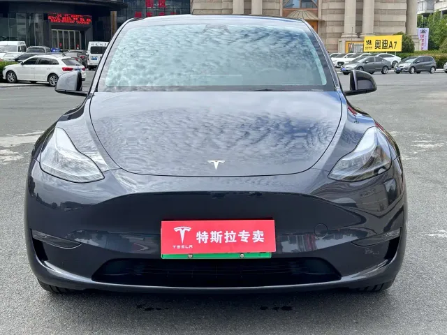 Tesla Model Y — Фото автомобиля 2