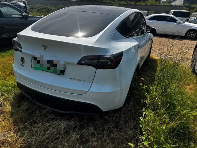 Tesla Model Y — Фото автомобиля 4
