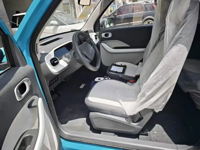 Livan Ruilan Blue Elf — Фото автомобиля 14