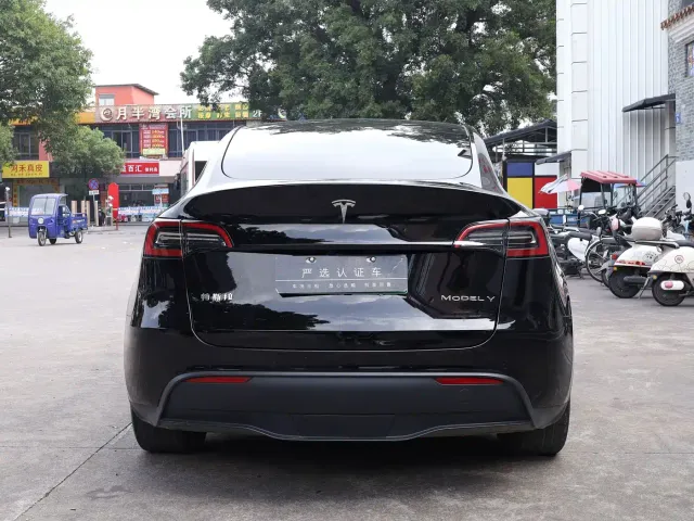 Tesla Model Y — Фото автомобиля 9