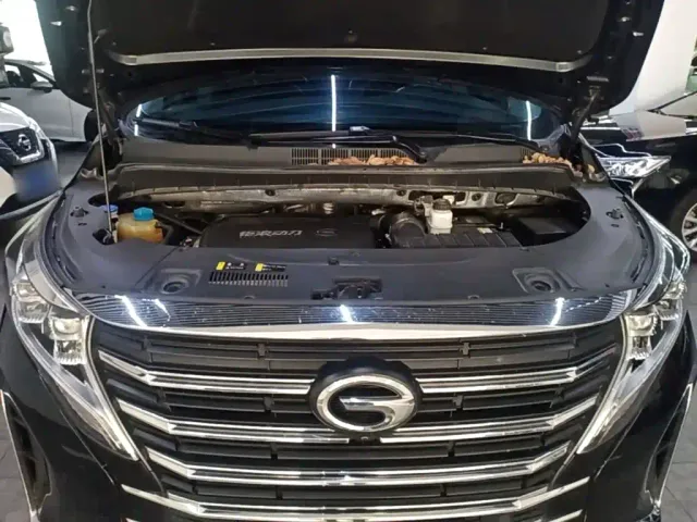 GAC Trumpchi M8 — Фото автомобиля 19