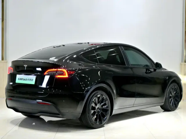 Tesla Model Y — Фото автомобиля 23