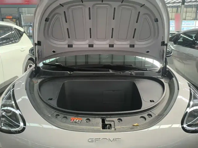 Geely Starry Wish — Фото автомобиля 19