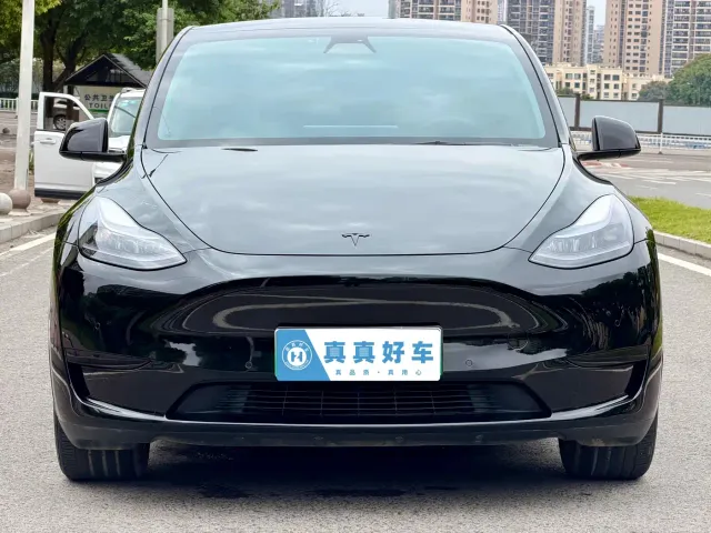 Tesla Model Y — Фото автомобиля 2
