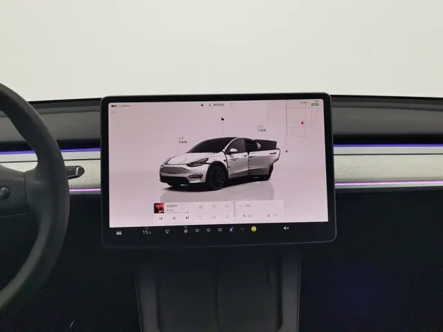 Tesla Model Y — Фото автомобиля 12