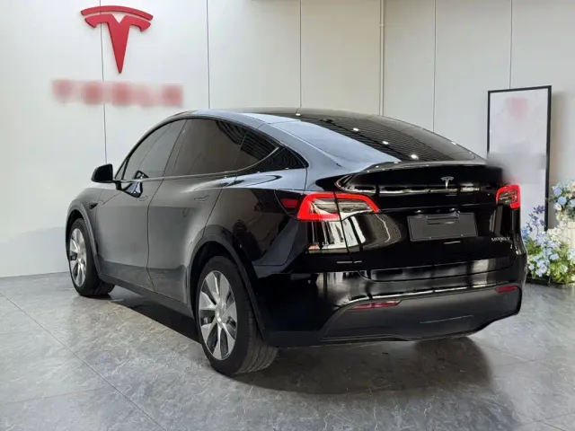 Tesla Model Y — Фото автомобиля 4