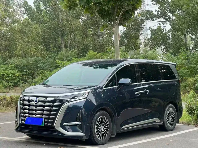 Фотография автомобиля — Denza D9