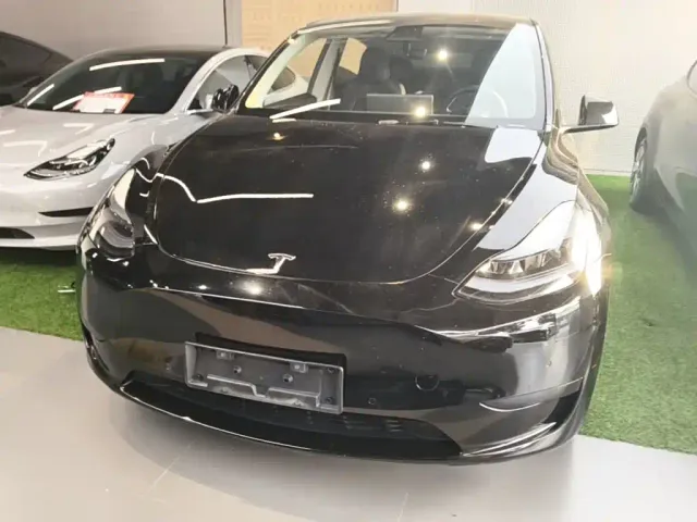 Tesla Model Y — Фото автомобиля 2