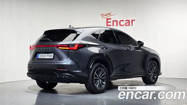 Lexus NX — Фото автомобиля 2