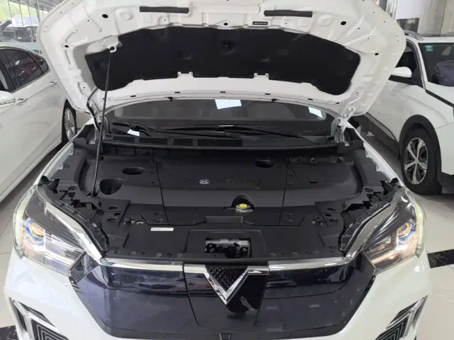 Venucia T60EV — Фото автомобиля 19