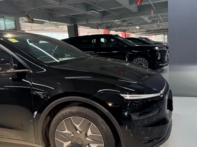 Tesla Model Y L — Фото автомобиля 4