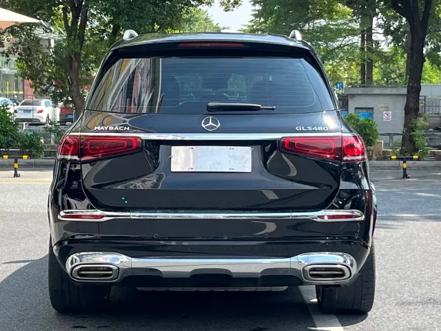 Mercedes-Benz GLS-Class — Фото автомобиля 5