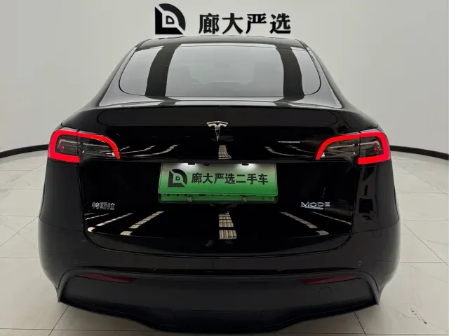 Tesla Model Y — Фото автомобиля 4