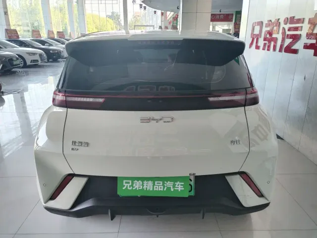 BYD Seagull — Фото автомобиля 13