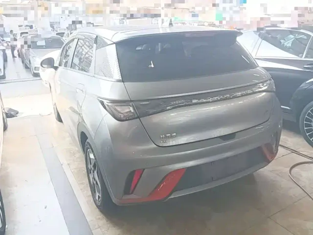 BYD Dolphin — Фото автомобиля 4
