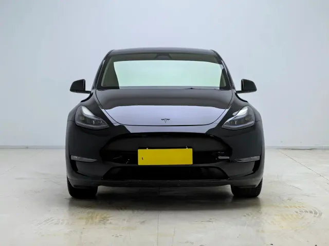 Tesla Model Y — Фото автомобиля 2