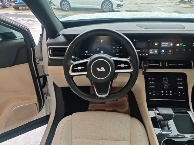 Li Auto Li ONE 2021 Extended Range 6-Seater — Фото автомобиля 10
