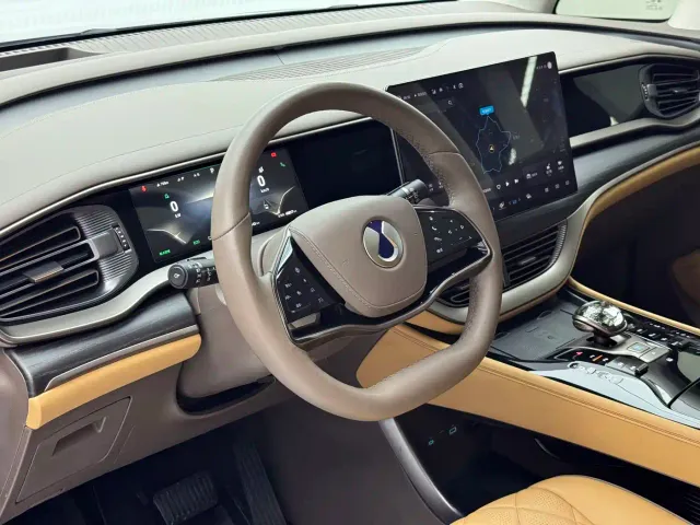 Denza D9 — Фото автомобиля 10
