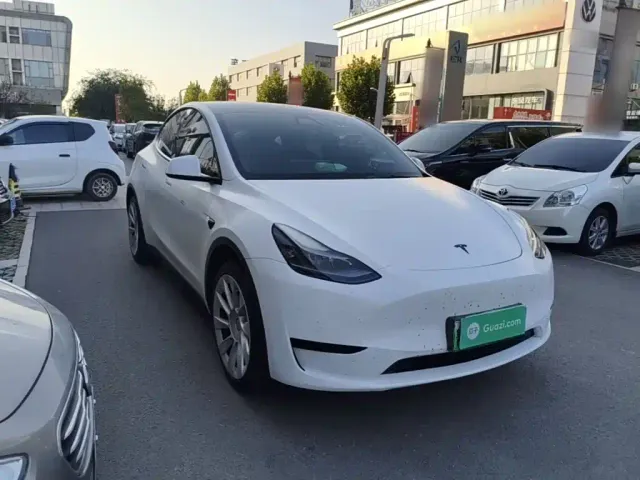 Tesla Model Y — Фото автомобиля 3